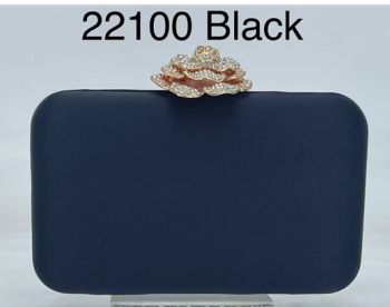 22100 BK EVENNING BAG