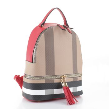 BL-6255 BR/RD PLATE BACKPACK