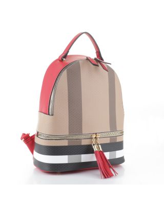 BL-6255 BR/RD PLATE BACKPACK